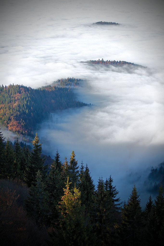 atraversso:  4nimalparty:    by keeperofthegreens     landscape