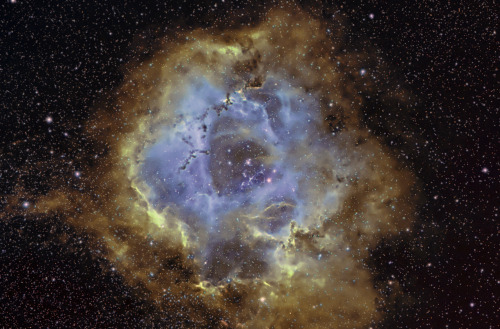 NGC 2244: An Open Cluster in the Rosette Nebula Photographed by Doug German js