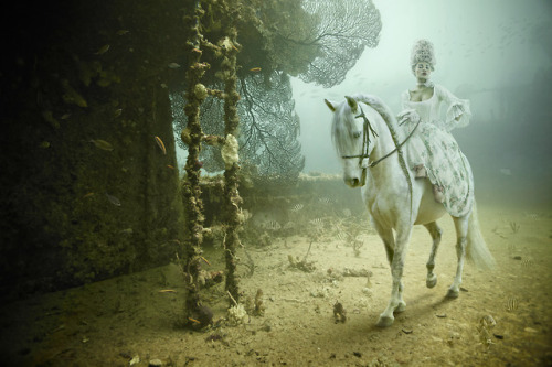 ohthentic:  carmidoll:  Andreas Franke  Oh 