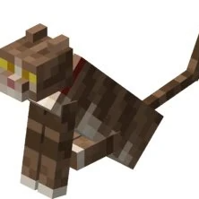 Brown Tabby Cat From Minecraft Stimboard!