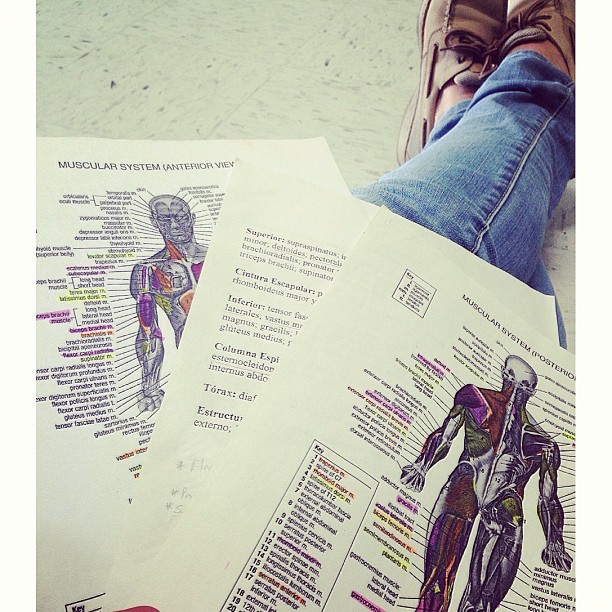 Musculos dejense llevar y sean faciles de aprender&hellip;. #muscule #anatomia