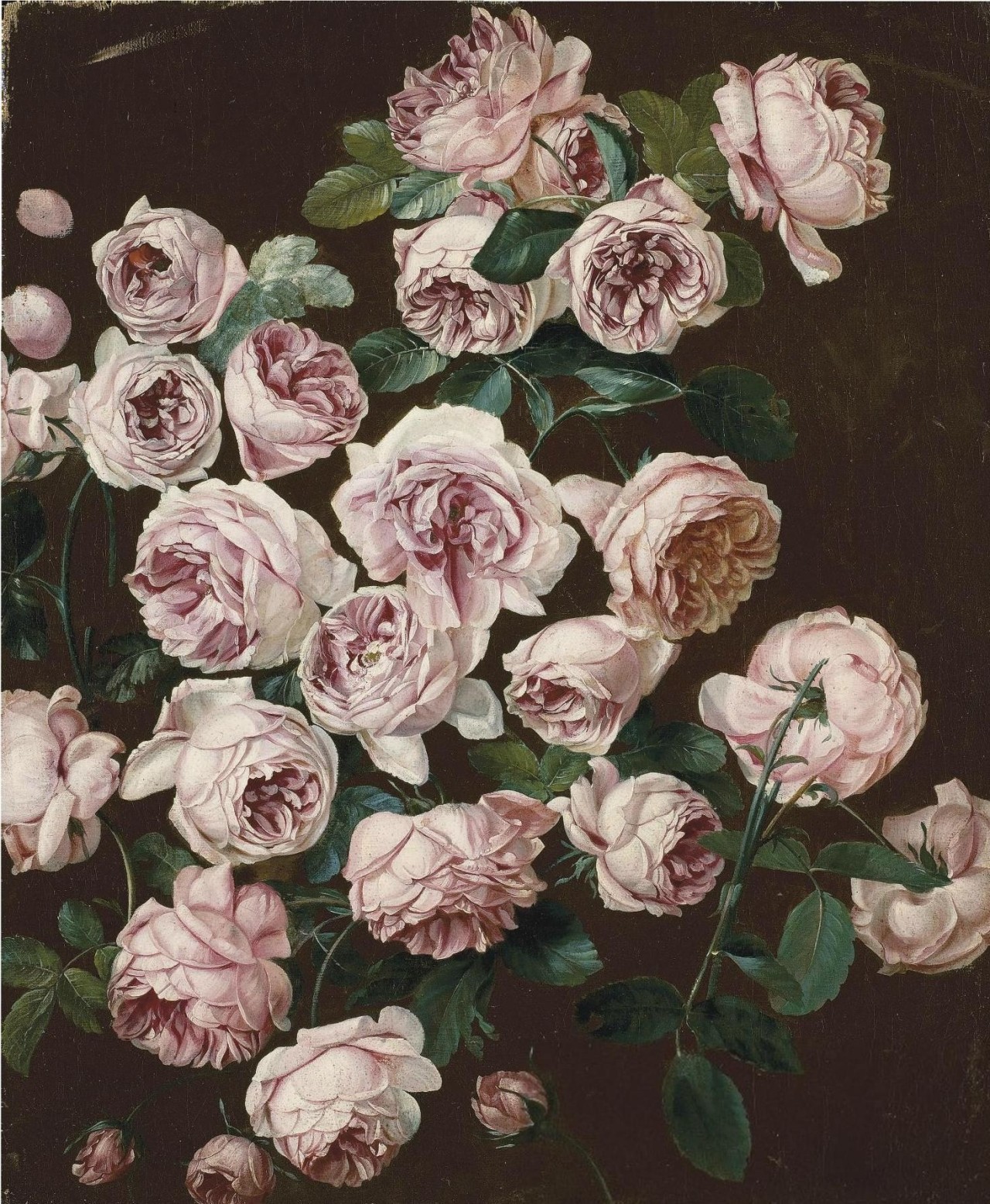 a-l-ancien-regime: Pancrace Bessa (Paris 1772-1835 Ecouen) A rosebush  oil on canvas 