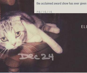 wenevergooutoftaylor:TAYLOR KINDLY TELL US WHAT WILL BE HAPPENING THIS DECEMBER 24? WE ALL KNOW IT’S