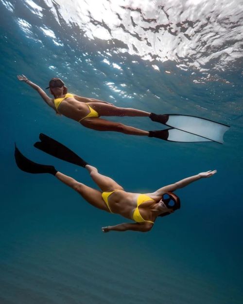 spearfishing-freediving-world: Stunning Reposted from @coconut_salt Raise your hand if you’re 