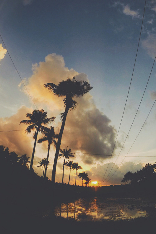 plasmatics-life:  Sunset ~ By Avinash Asokan