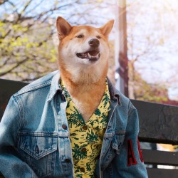 Mensweardog:just Out Here Living My Best Life 👌✨