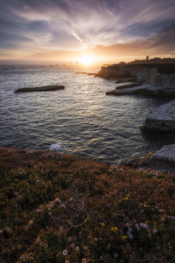 sitoutside:like icarus | davenport, california