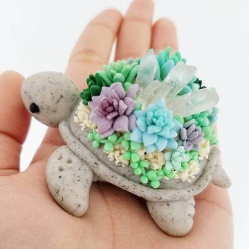 bright-eyes-hope:sosuperawesome:Succulent Turtles and Fruitles Charms by Claybie Charms on Instagram
