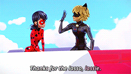 marinettas:Chat Noir + nicknames for Ladybug+ bonus: