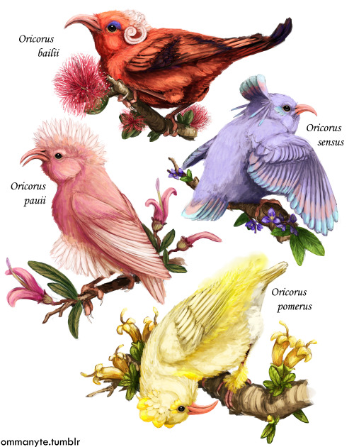 ommanyte: ORICORIO. Some really fab new Pokémon based on Hawaiian Honeycreepers. Just look at