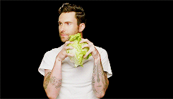 thorinss:  favorite people → Adam Levine 