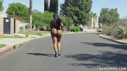 allsortsofass:  Going for a run with Victoria