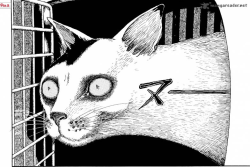 infernalpume:  the-witchqueen: junji ito’s cat diary is a fuckin masterpiece its drawn like a horror. but its not. its just about his cat 