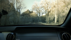 dezzoi:  Driving through the ominous woods~