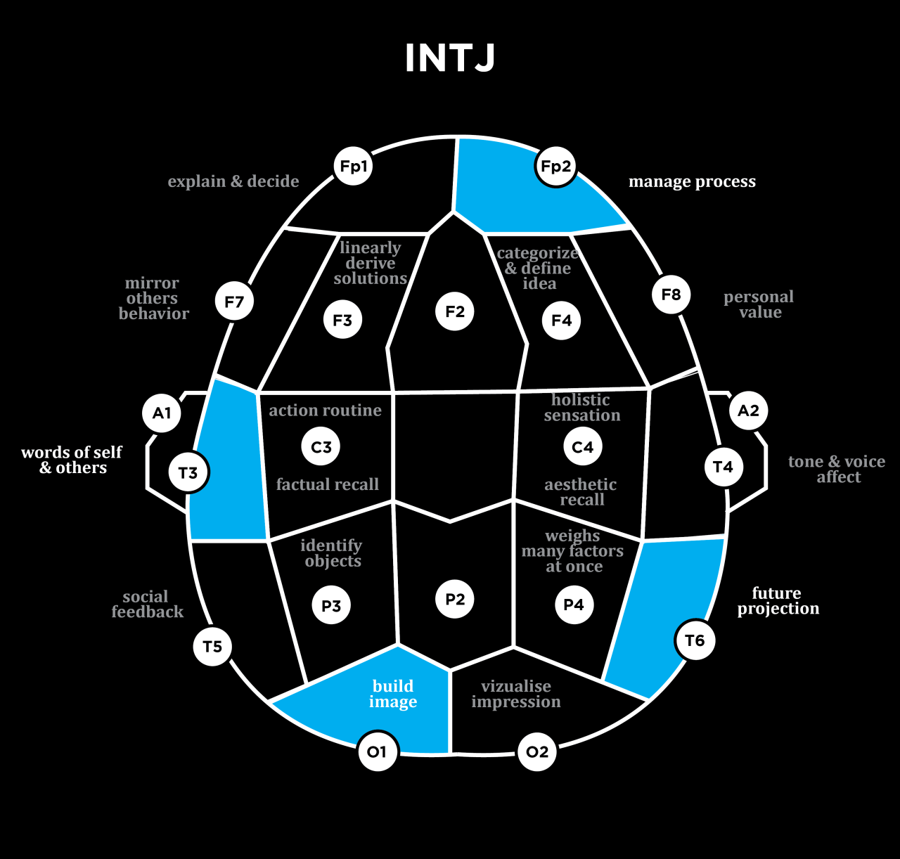 INTJ Spirit Animals: What Best Symbolizes the INTJ - Personality