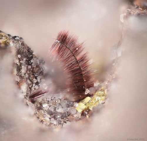 (via Fibrous hematite from Germany) 