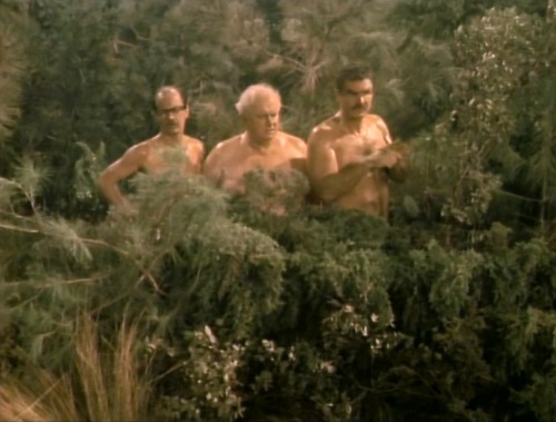 allthingsdurning:Evening Shade (TV Series) - ’Three Naked Men: Part 1,’ S2/E1 (1991), Charles Durnin