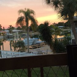 20/366   #treasureisland #florida #stpete #home #nofilter #leighbeetravel #igersstpete #sunset #mybackyard #gulfofmexico #palmtrees