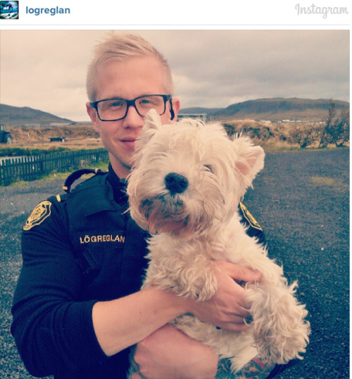 dualpaperbags: paulmcfruity: This Icelandic police force has the most adorable Instagram account&nbs