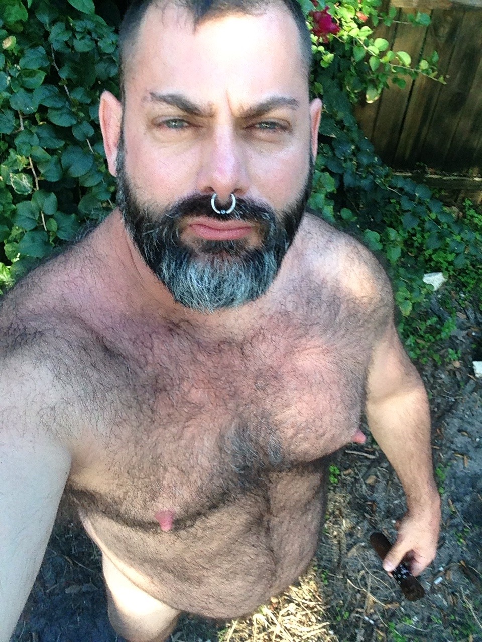 BACKFUR - Hairy/bear/horny/daddy