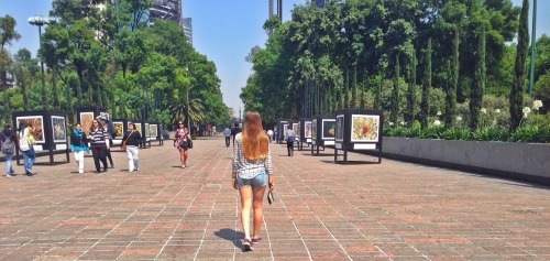 #mexico #girl #beautiful #walking #converse #longhair #chapultepec