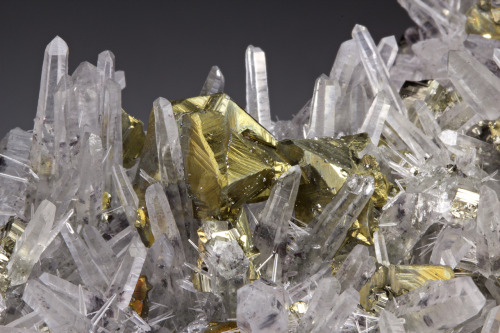 fuckyeahmineralogy:  Quartz with Pyrite, Chalcopyrite