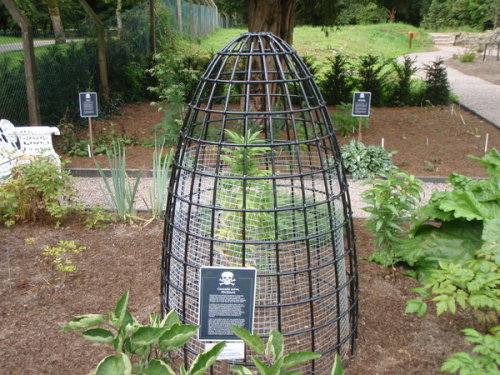 valleywitch: unexplained-events: The Poison Garden Established in 2005 by the Duchess of Northumber