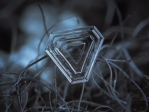  Micro-photography of individual snowflakes by Alexey Kljatov 