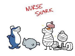 k-eke:  Many species of sharks !Shark in french is requin ^^ !