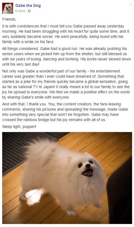 XXX maxofs2d: gabe the dog passed away… rest photo