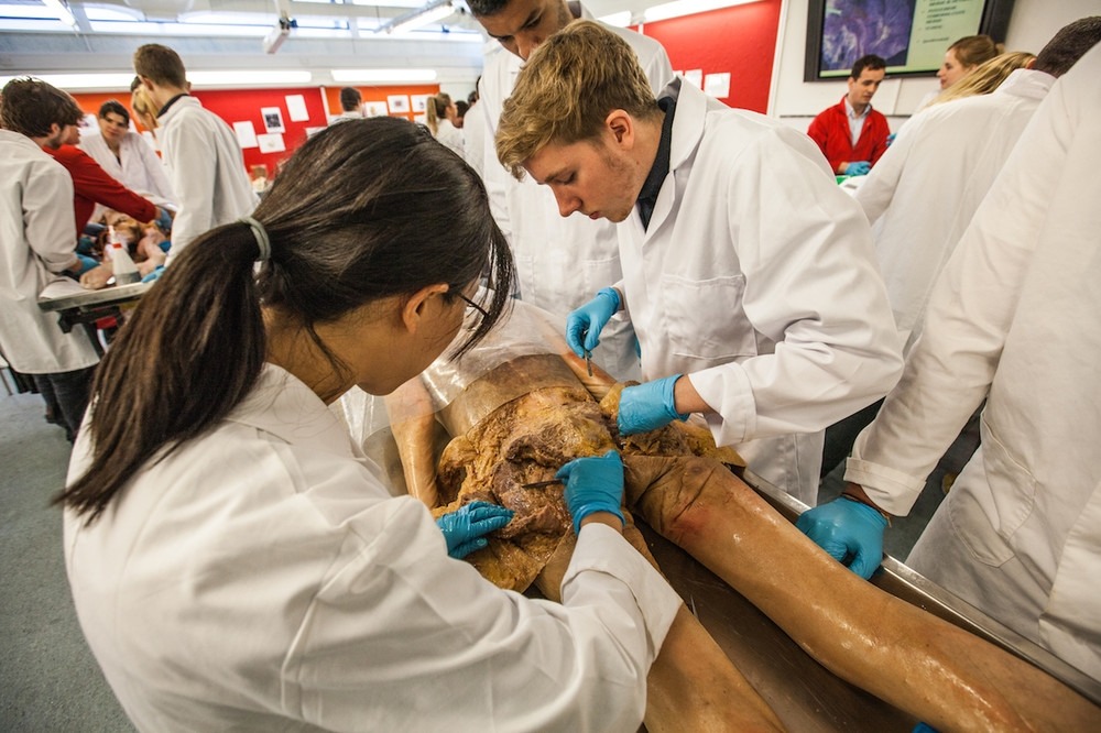 flyonthewallmedstudent:  forensicimagination:  (via What Happens When You Donate