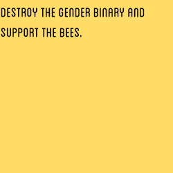 nonbinarypastels:  [Image Description: A yellow color block and black color block in a vertical row with text that reads “destroy the gender binary and support the bees / buy all your honey locally”]