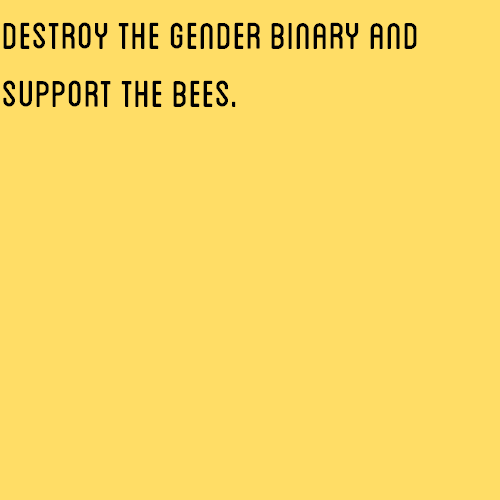 nonbinarypastels:  [Image Description: A yellow color block and black color block in a vertical row with text that reads “destroy the gender binary and support the bees / buy all your honey locally”]