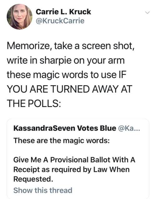 rachelhaimowitz:  lynati: A huge number of people are already getting fucked over when it comes to being allowed to cast a vote in the upcoming elections. Let’s try to minimize what that number COULD be as much as possible.It might also be useful to