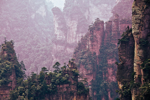 Sex trefoiled:  Zhangjiajie National Forest, pictures