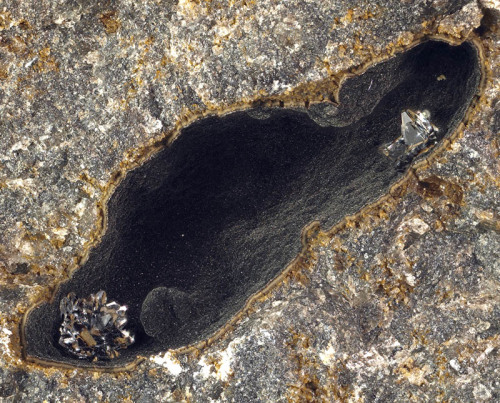 Rare Tschernichite in vuggy Basalt - Neer Road, Goble, Columbia County, Oregon