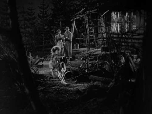 The Call of the Wild・ ・ ・Director: William WellmanDirector of Photography: Charles Rosher