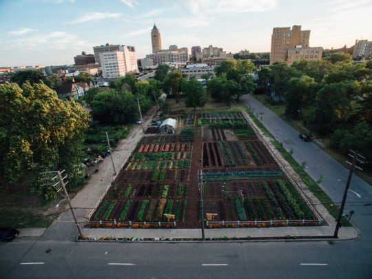 America's first urban 'agrihood' feeds 2,000 households for free