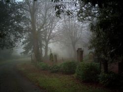 oviz:Greenock Cemetery