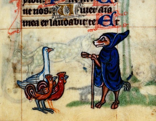 jothelibrarian: Pretty medieval manuscript of the day shows a cheeky looking fox (in disguise!) prea