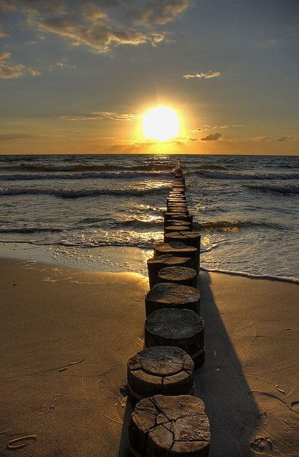 mapleshield:  by luzzzelmann on Flickr 