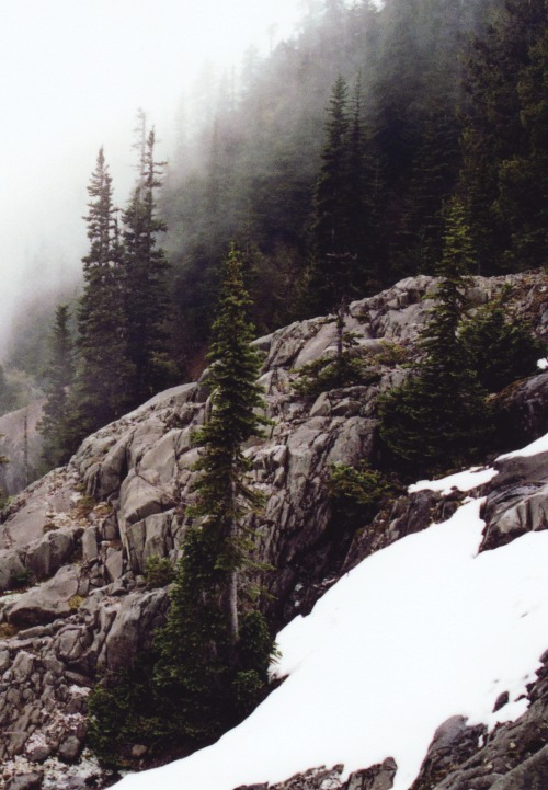 0rient-express:untitled (by Robin Mellway).