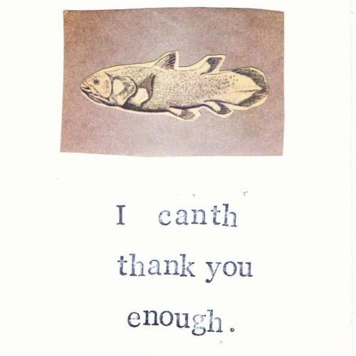 bluespecsstudio:  Marine Biology Cards by BlueSpecsStudio  ( ^_^ )