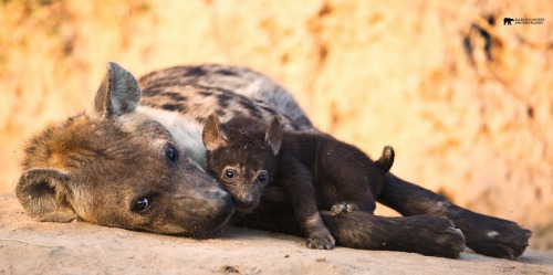 Happy New Yeens!