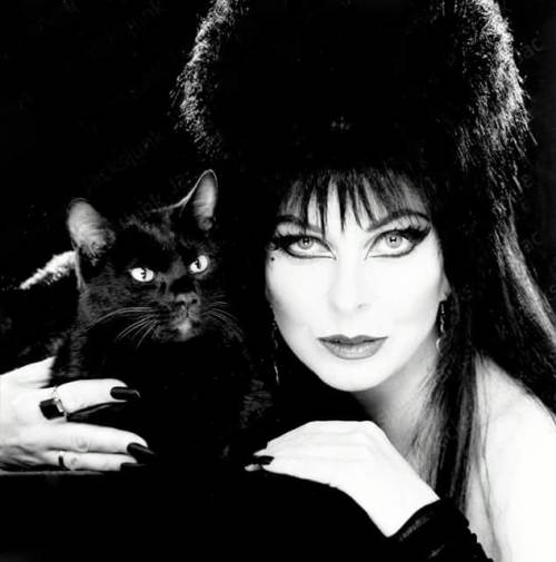 Elvira Mistress Of The Dark