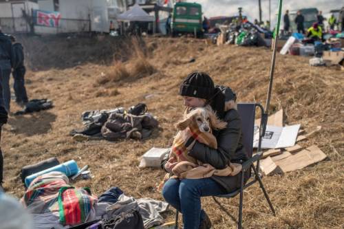 blueboyluca: Pets of war: Ukrainians take comfort from their animals as they flee the conflict – in 