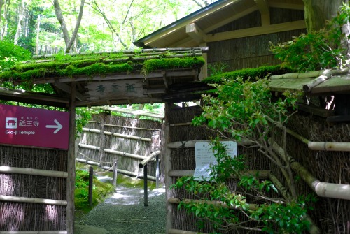 jasmine7031: Giou-ji Temple　（祇王寺） moss gardenwww.giouji.or.jp/enAfter a rainfall, when the ga