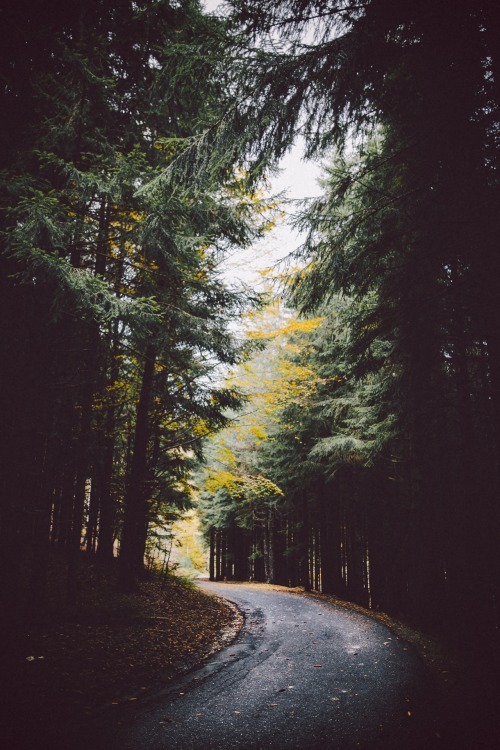 flawlless-life:the adventure start from here ∎