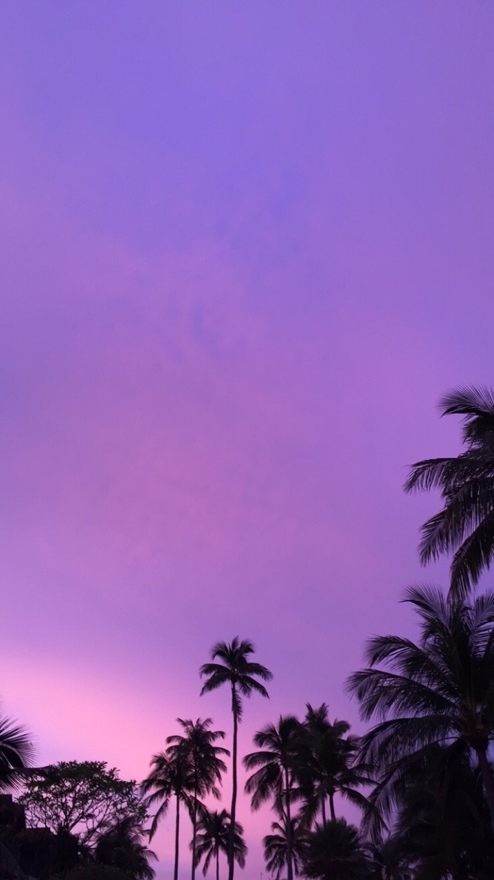 fwaim:  🌴💜 