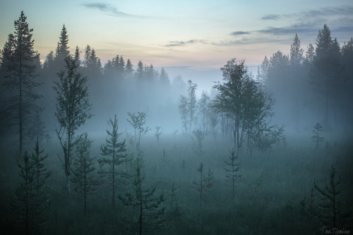 tiinatormanenphotography: After the rain.  July 2015, Syöte, Finland.  by Tiina T&oum